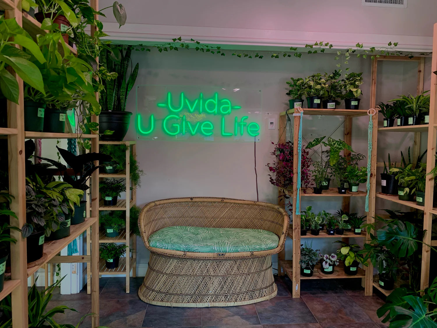Swedish Dishcloth – Uvida Shop: Boston's first Zero Waste Store