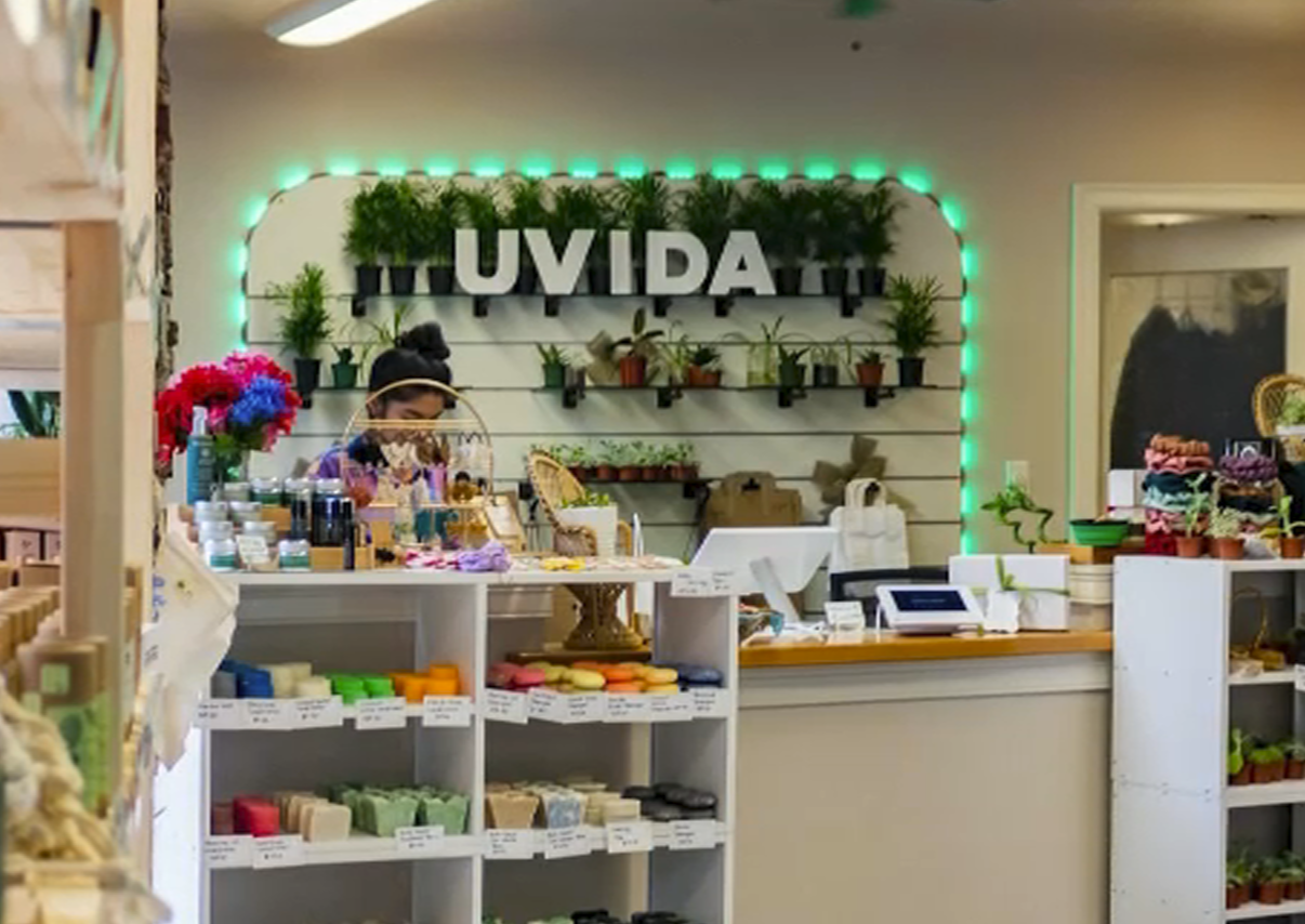 Dry Lavender Bundle – Uvida Shop: Boston's first Zero Waste Store